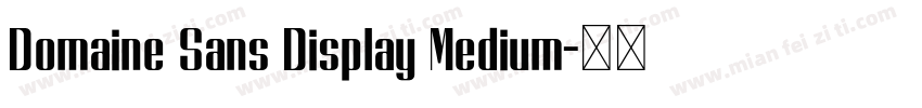 Domaine Sans Display Medium字体转换